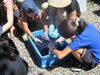 しぼったハンカチを水で濡らし藍液につけ、水洗いをします。<br>この後、発色剤と色止め剤もつけてから水洗いの工程を繰り返します。