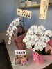 「明日のオープンに向けて」