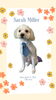 「Dog salon mofu mofu　余市町」