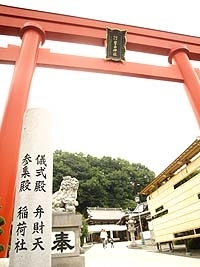 高さ13メートル、横14メートルの<br>大鳥居に圧倒される琴平神社・儀式殿。