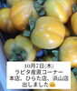 ラピタで買えるよ〜「柿くへば鐘が鳴るなり‘*:.｡*(●´∀`)八(´∀`●)*｡.:*仏宝堂　斐川町」