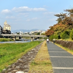 『鴨川』川沿いをぶらり散歩