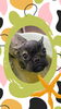 「Dog salon mofu mofu　余市町」