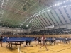 「後藤杯（名古屋オープン）に行ってきました🏓」
