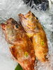 「西海物産館魚魚市場鮮魚コーナーおすすめ商品は「お刺身用☆サバ」です♪( ´θ｀)」
