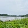 本日の（雨の）水門BAY「【6月26日】台風接近の激しい雨に大感謝＆196アクセス突破！やまねの魂そのものである伝統の「巻ずし」＆南瓜雑煮 🍱🌧️」
