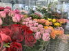 新鮮な色とりどりの花「愛妻の日・ホワイトデーにサプライズ花束を。季節のおまかせアレンジはいかがですか。」