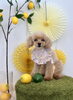 くろまめちゃん「わんことレモン🍋　＆スタッフわんこ」