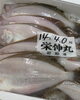 「本日営業中です」