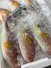 「魚魚市場鮮魚コーナーおすすめは「アジ」です♪」