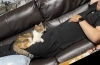 パパさんは暑い？〜猫ちゃんは暖かいのもお気に入り「7月も猫と快適に！夏のお留守番対策は？予約はお早めに！」