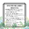 「多肉植物寄せ植え体験、開催します！【観葉植物専門店　福島市】」