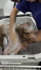 「お客様のご紹介🐶[大分市高崎/貸切トリミング]」