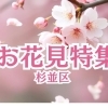 お花見するならここ！ 杉並の“桜”特集【2026年】