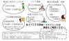 「木曽路氷雪の灯祭りin上松・寝覚【上松町寝覚の床　絶景テラスでランチが食べられるドライブイン！お土産】」