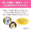 「猫丸はお客さまと動物トークで盛り上がるサロン♪（=^ェ^=) 整体・オイル・リーディング・占い・顔そり・氣功」