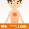 胸毛