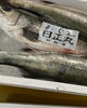 「ホームページはこちら🔗iwafunegyokou.com」
