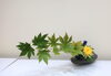 季節感あふれる植物の美しい姿をいけられます「【銀座　いけばな教室】池坊教室のお稽古 ご紹介」