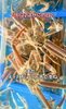 「✨🦀今日6/22は、かにの日なんです🦀✨」