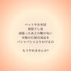 毎日の習慣が体を作る「来月の講座になります」