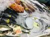 「西海物産館・魚魚市場鮮魚コーナーおすすめは「キビナゴ入荷してます」です♪」