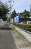 Before　社屋前の歩道に草が結構のびてました汗「早朝除草作業」