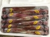 「魚魚市場鮮魚コーナーおすすめは「のどぐろ・エビスダイ」です♪」
