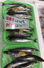「魚魚市場鮮魚コーナーおすすめは「いわし・のどぐろ」です♪」