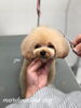 「秋のオプションキャンペーン　(^-^)」