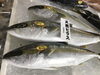 「魚魚市場鮮魚コーナーおすすめは「牡蠣」です♪」
