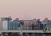 2025年　富士山　遠望「《学生服リユース》　2025年　あけましておめでとうございます」