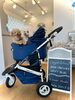 思い出いっぱいつくってね「エアバギー納車　🐶」