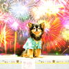コロンちゃん「今日のお友達」