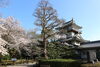 岩崎城