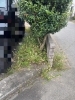 「草刈りのお仕事です！」