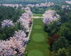 「満開の桜の中でプレー！？　姫路城カントリークラブのご紹介⛳」