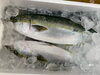「鮮魚パックいろいろ販売中‼️〆鯖も販売致します🐳」