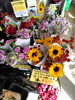 「【泉佐野市、貝塚市、熊取町にお住まい】の方【初めてだけどお花を飾りたい】方【センスよくお花を飾りたい】方【お花初心者大歓迎】の花屋りっちゅ特製おうちフラワー」