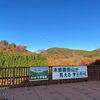 「『市場の日』イベントご参加いただきありがとうございました！道の駅木曽福島」