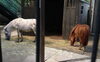 また来るからねー「大好きな動物たち✨　★英会話と体操のコラボ教室（堀切、お花茶屋、綾瀬、亀有、小菅）」