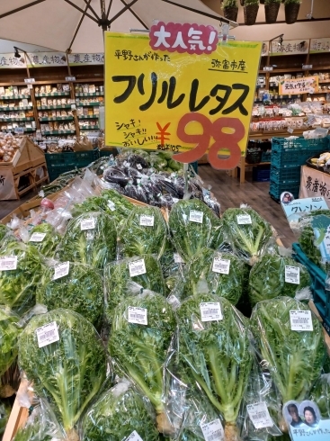 シャキシャキフリルレタス98円「大人気⭐ふわふわレタス⭐フリルレタス⭐大府市/野菜直売」