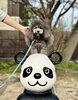 ぷっかくん🐼「ましゅまろ幼稚園🐾」