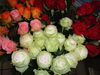 バラ「今日入荷のお花！」