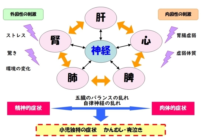 身体のバランスが崩れたときに「かんむし」が巣食う！「子供の大癇癪・・」