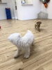 来てる？来てる？「ましゅまろ幼稚園　(^-^)Ⅲ」