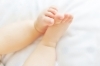 妊娠・出産に関わる情報