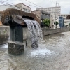 ■水遊び■【西井堀せせらぎパーク（誕生の泉のみ）-葛飾区東新小岩‐】水遊び広場ゾーンは誕生の泉のみ
