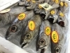 「魚魚市場鮮魚コーナーおすすめは「チカメキントキ」です🎶　」