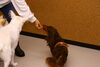 ライラちゃん「今日のお友達」